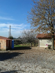 Azienda