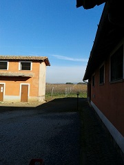 Azienda