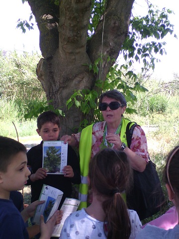 Lezione sotto l'albero