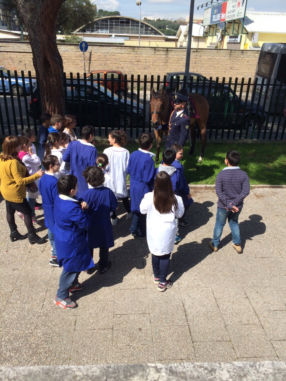 i cavalli a scuola